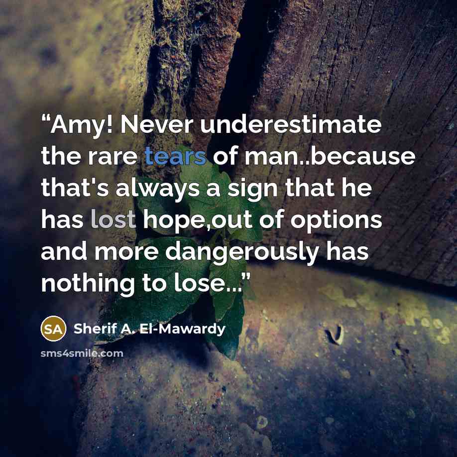 “Amy! Never underestimate the rare tears of man..because that's always a sign that he has lost hope,out of options and more dangerously has nothing to lose...” quote by Sherif A. El-Mawardy