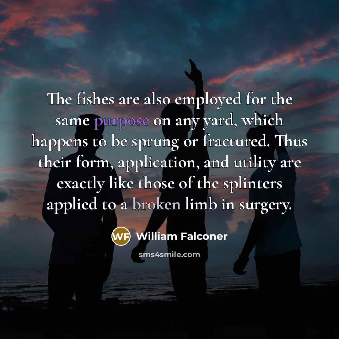 “The fishes are also employed for the same purpose on any yard, which happens to be sprung or fractured. Thus their form, application, and utility are exactly like those of the splinters applied to a broken limb in surgery.” quote by William Falconer