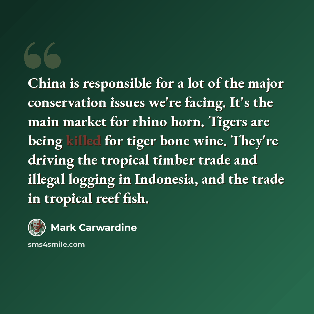 “China is responsible for a lot of the major conservation issues we're facing. It's the main market for rhino horn. Tigers are being killed for tiger bone wine. They're driving the tropical timber trade and illegal logging in Indonesia, and the trade in tropical reef fish.” quote by Mark Carwardine