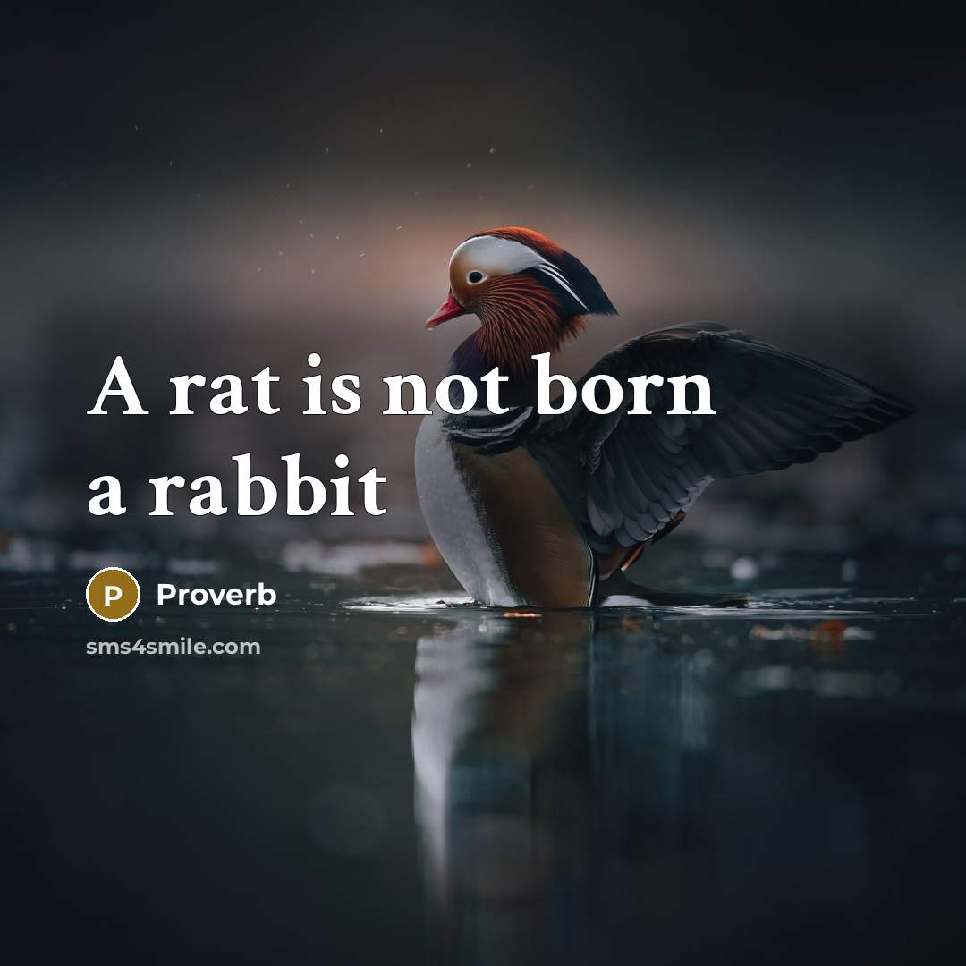 “A rat is not born a rabbit” quote by Proverb