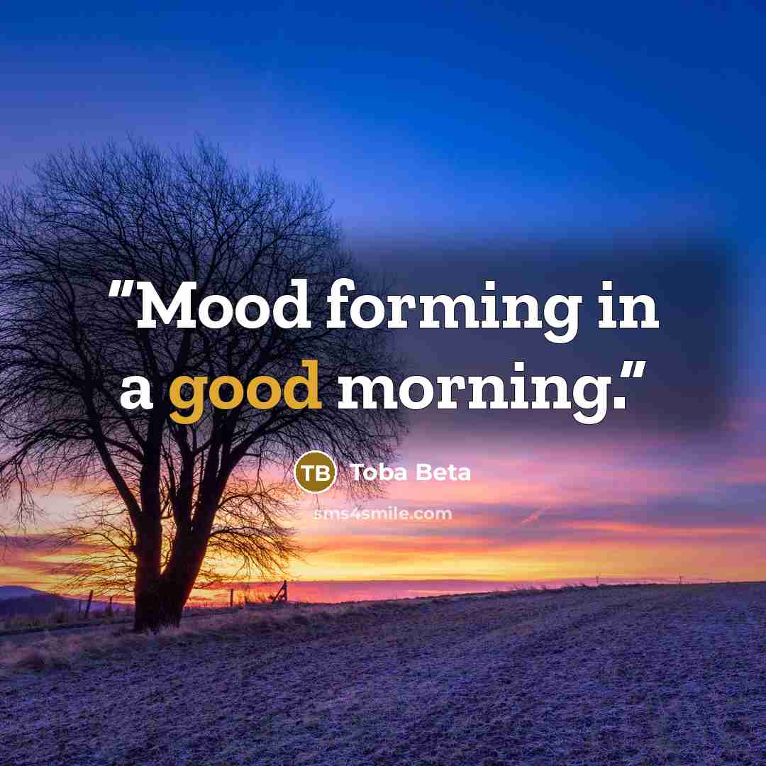 “Mood forming in a good morning.” quote by Toba Beta