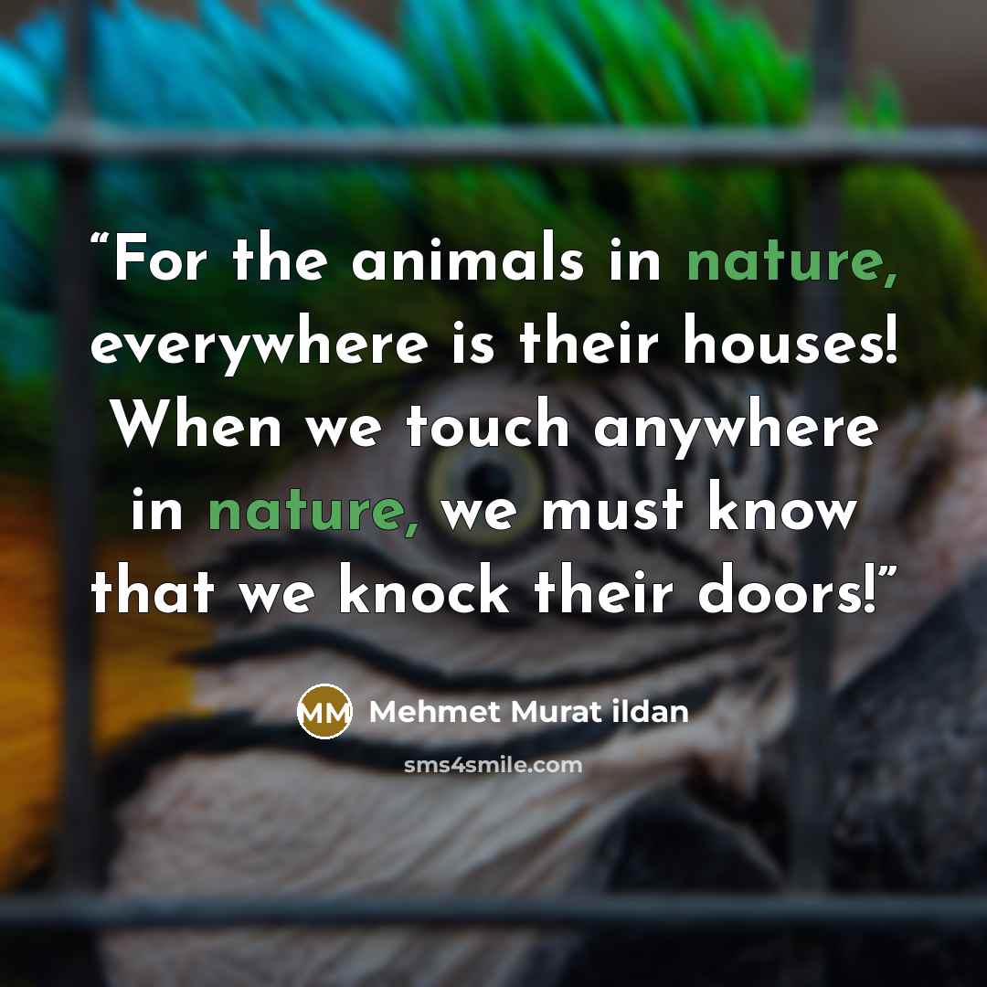 “For the animals in nature, everywhere is their houses! When we touch anywhere in nature, we must know that we knock their doors!” quote by Mehmet Murat ildan