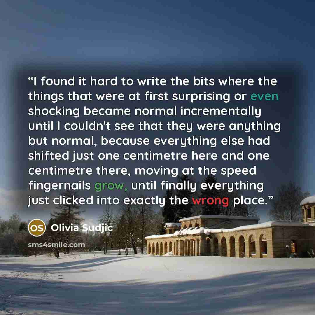“I found it hard to write the bits where the things that were at first surprising or even shocking became normal incrementally until I couldn't see that they were anything but normal, because everything else had shifted just one centimetre here and one centimetre there, moving at the speed…” quote by Olivia Sudjic