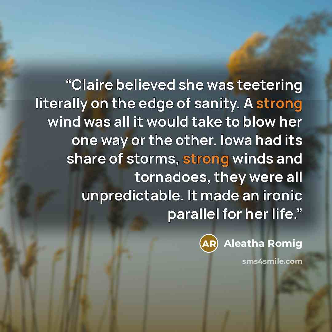 “Claire believed she was teetering literally on the edge of sanity. A strong wind was all it would take to blow her one way or the other. Iowa had its share of storms, strong winds and tornadoes, they were all unpredictable. It made an ironic parallel for her life.” quote by Aleatha Romig