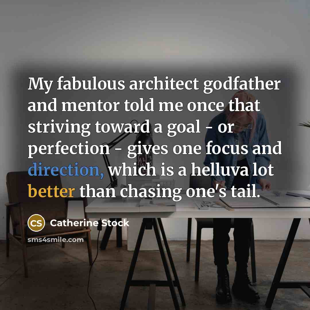 “My fabulous architect godfather and mentor told me once that striving toward a goal - or perfection - gives one focus and direction, which is a helluva lot better than chasing one's tail.” quote by Catherine Stock