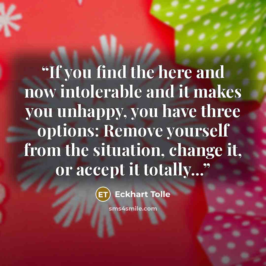 “If you find the here and now intolerable and it makes you unhappy, you have three options: Remove yourself from the situation, change it, or accept it totally...” quote by Eckhart Tolle
