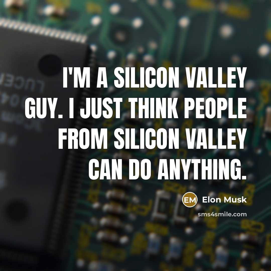 “I'm a Silicon Valley guy. I just think people from Silicon Valley can do anything.” quote by Elon Musk