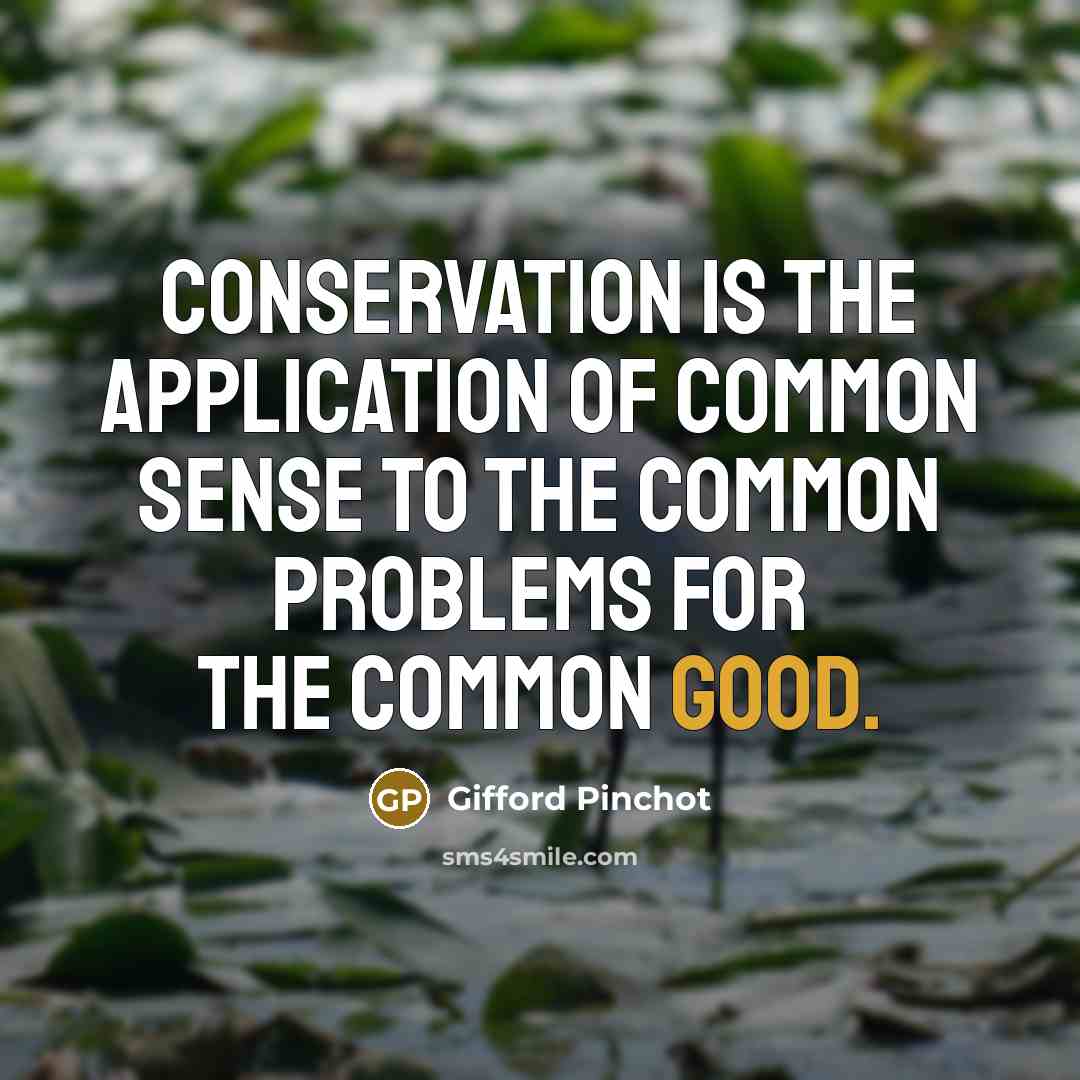 “Conservation is the application of common sense to the common problems for the common good.” quote by Gifford Pinchot