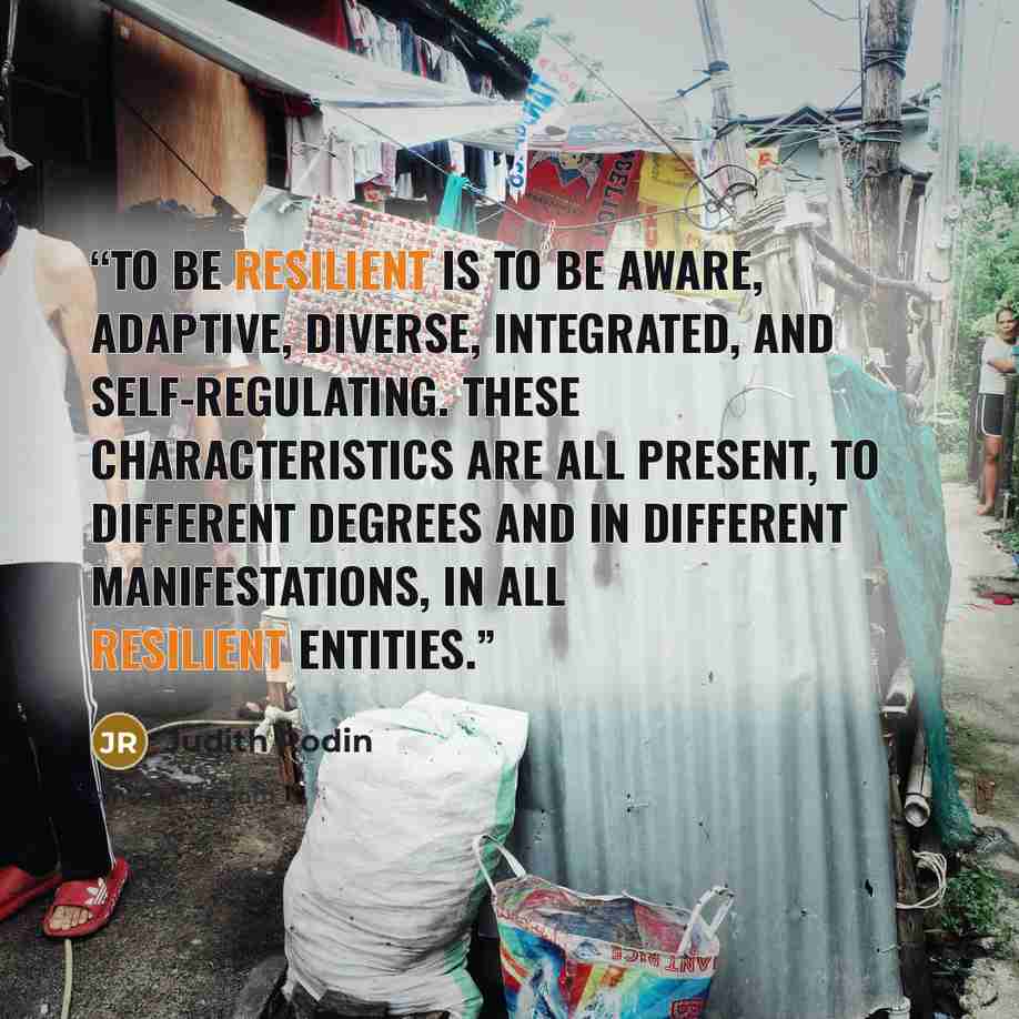 “To be resilient is to be aware, adaptive, diverse, integrated, and self-regulating. These characteristics are all present, to different degrees and in different manifestations, in all resilient entities.” quote by Judith Rodin