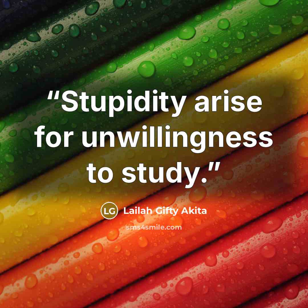 “Stupidity arise for unwillingness to study.” quote by Lailah Gifty Akita