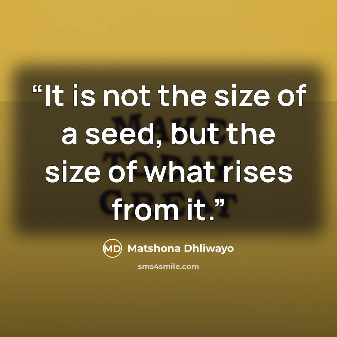 “It is not the size of a seed, but the size of what rises from it.” quote by Matshona Dhliwayo