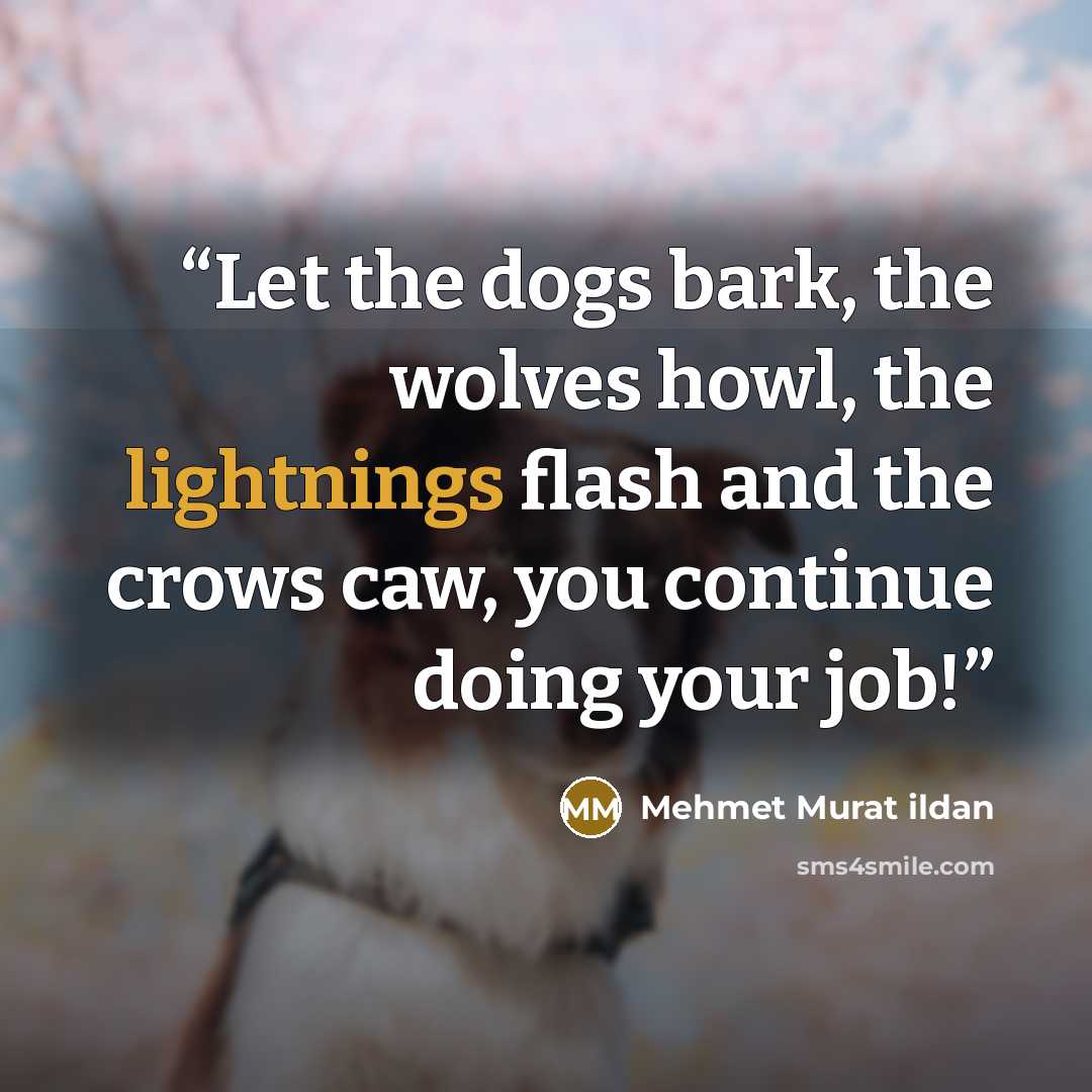 “Let the dogs bark, the wolves howl, the lightnings flash and the crows caw, you continue doing your job!” quote by Mehmet Murat ildan