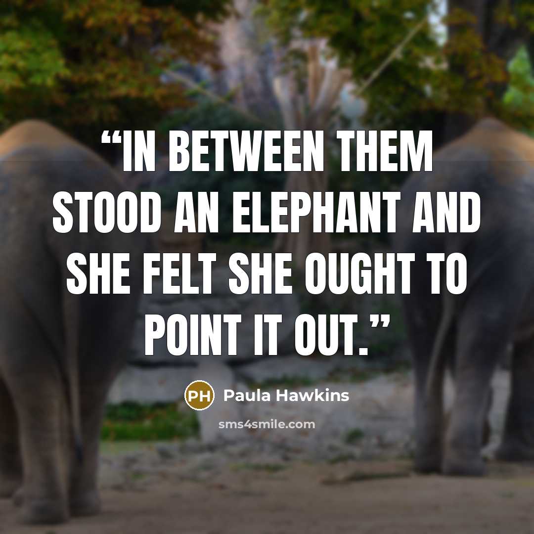 “In between them stood an elephant and she felt she ought to point it out.” quote by Paula Hawkins