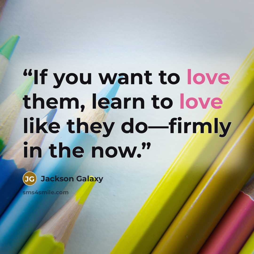 “If you want to love them, learn to love like they do—firmly in the now.” quote by Jackson Galaxy