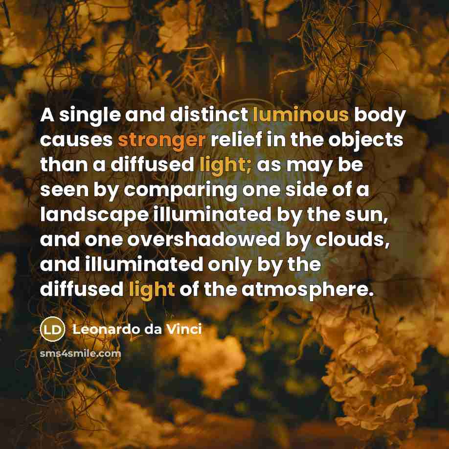 “A single and distinct luminous body causes stronger relief in the objects than a diffused light; as may be seen by comparing one side of a landscape illuminated by the sun, and one overshadowed by clouds, and illuminated only by the diffused light of the atmosphere.” quote by Leonardo da Vinci