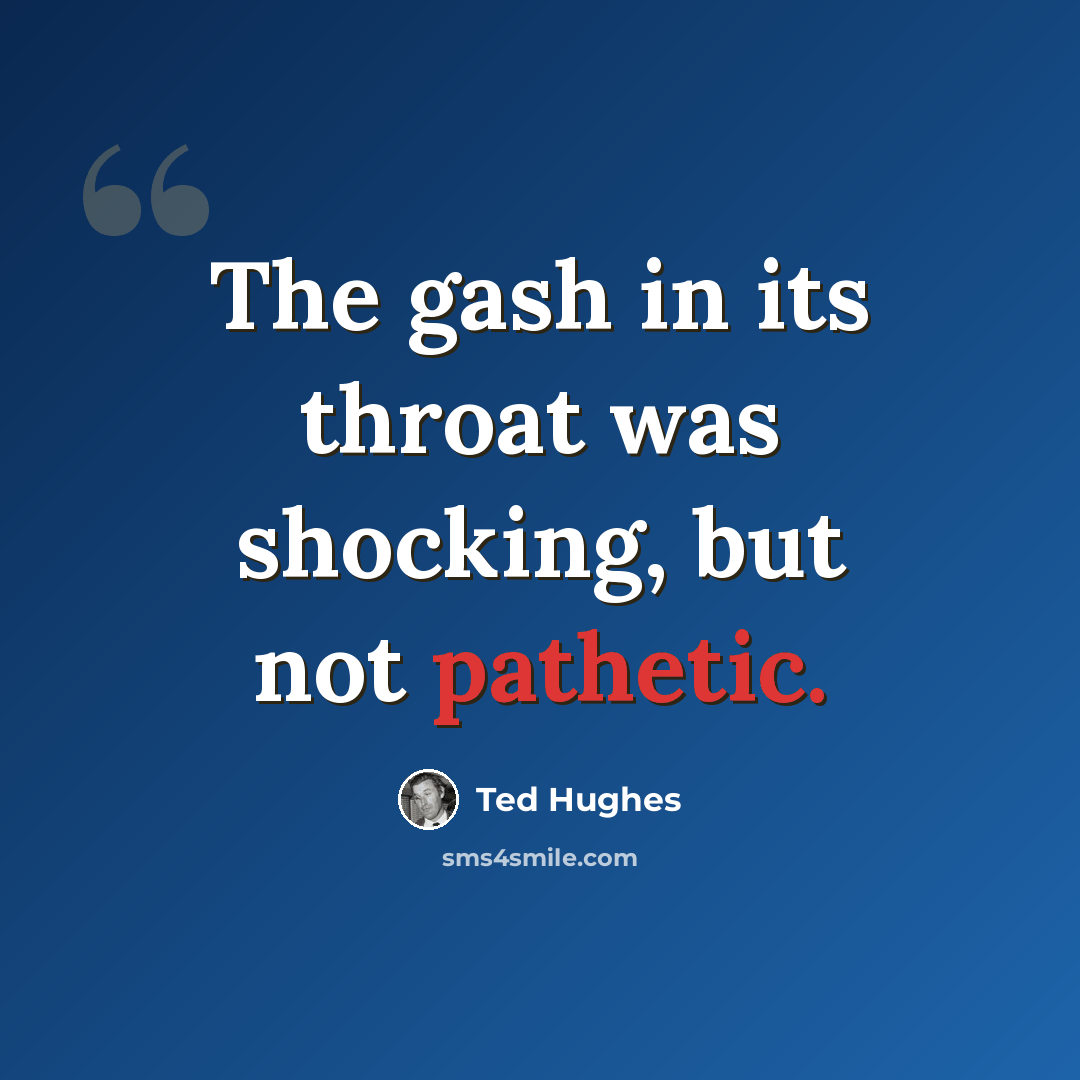 “The gash in its throat was shocking, but not pathetic.” quote by Ted Hughes
