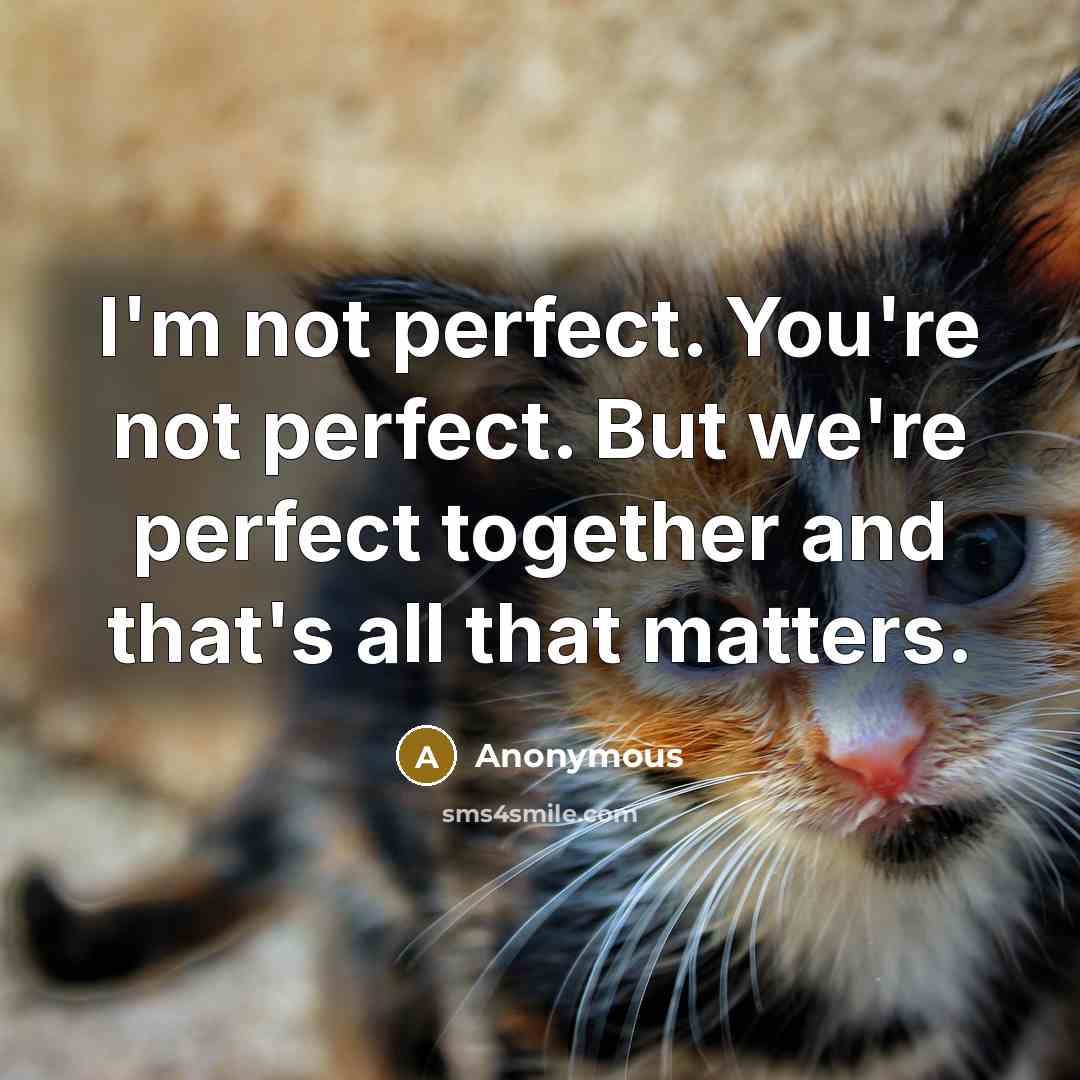 “I'm not perfect. You're not perfect. But we're perfect together and that's all that matters.” quote by Anonymous