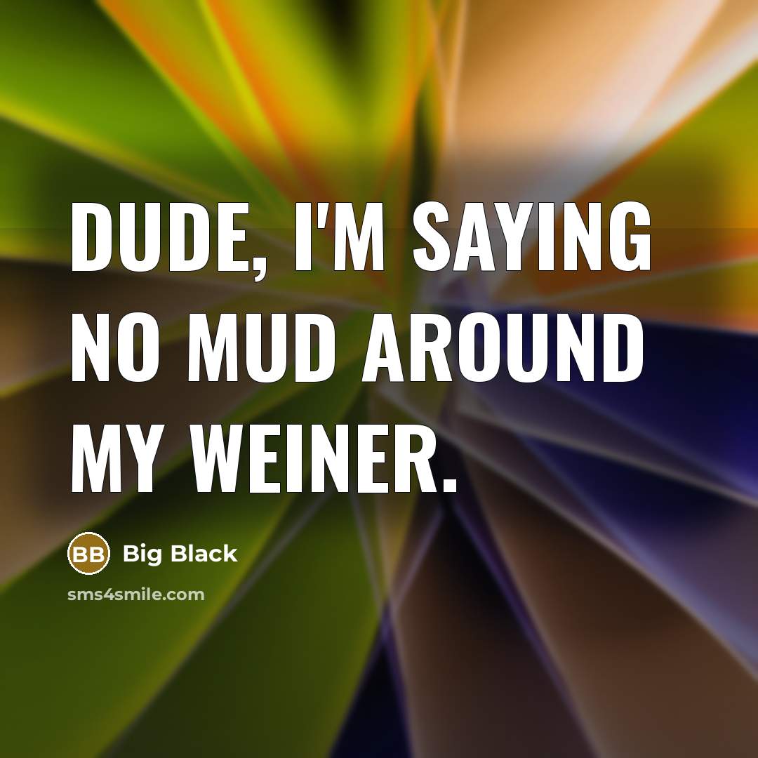 “Dude, I'm saying no mud around my weiner.” quote by Big Black