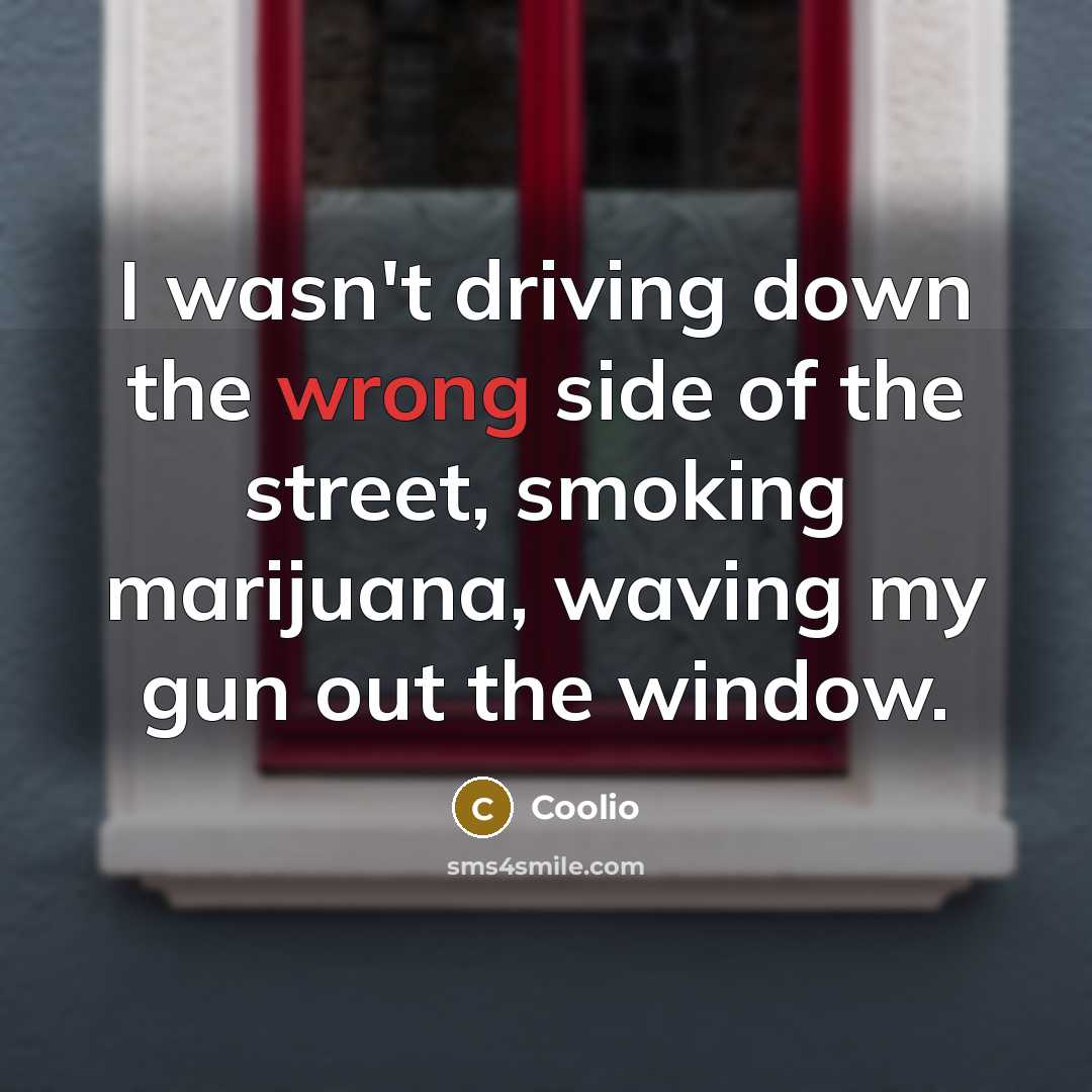 “I wasn't driving down the wrong side of the street, smoking marijuana, waving my gun out the window.” quote by Coolio