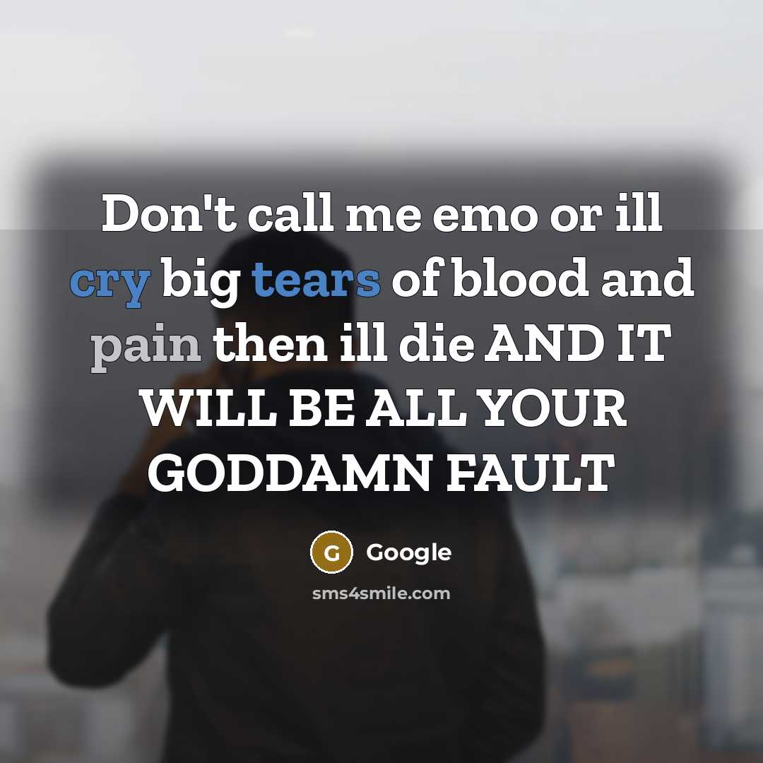 “Don't call me emo or ill cry big tears of blood and pain then ill die AND IT WILL BE ALL YOUR GODDAMN FAULT” quote by Google