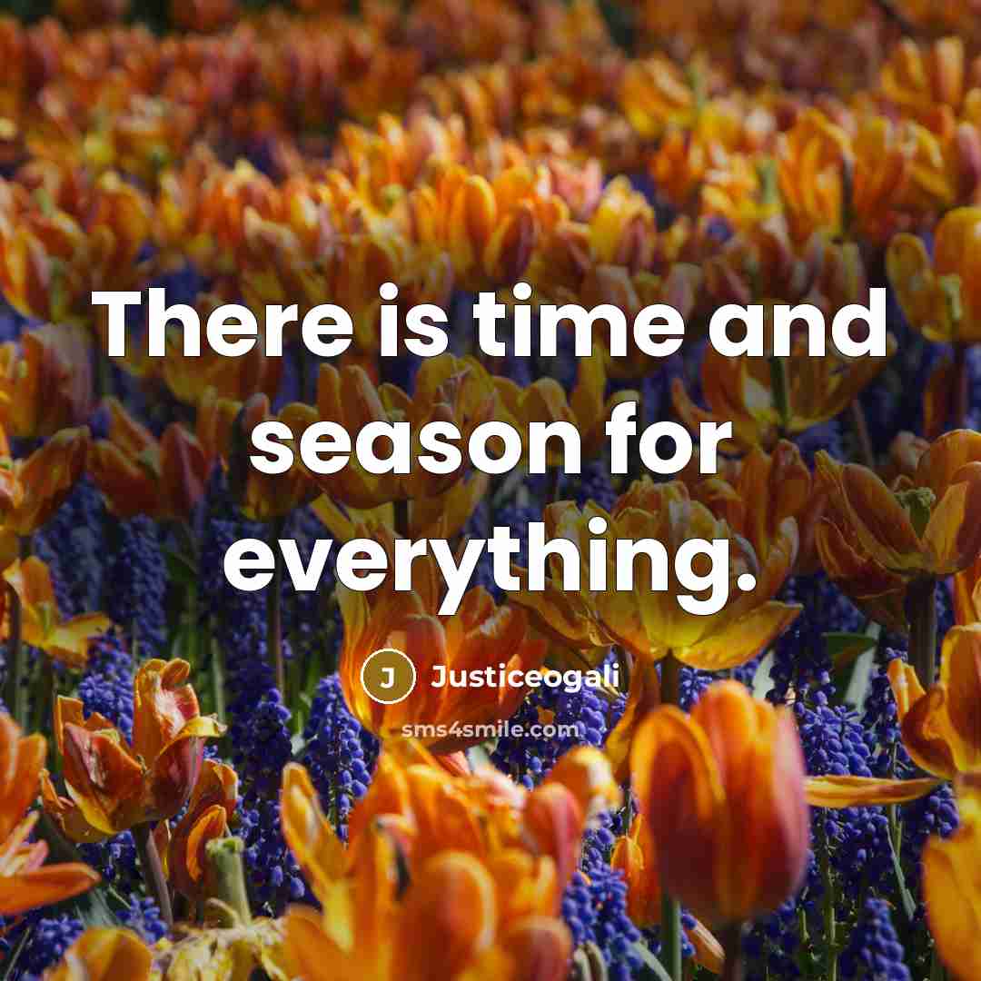“There is time and season for everything.” quote by Justiceogali