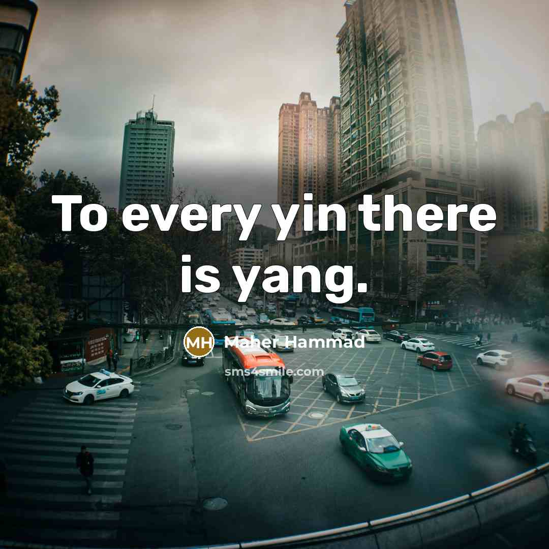 “To every yin there is yang.” quote by Maher Hammad