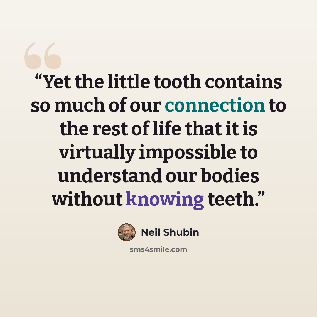 “Yet the little tooth contains so much of our connection to the rest of life that it is virtually impossible to understand our bodies without knowing teeth.” quote by Neil Shubin