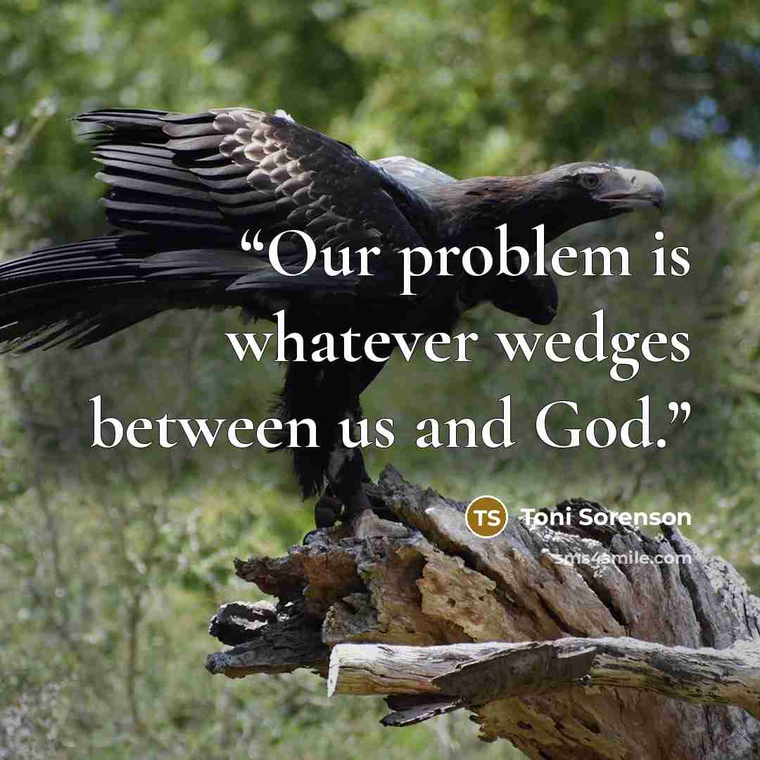 “Our problem is whatever wedges between us and God.” quote by Toni Sorenson