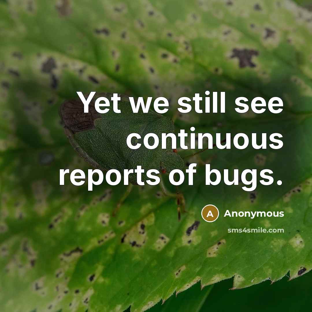 “Yet we still see continuous reports of bugs.” quote by Anonymous