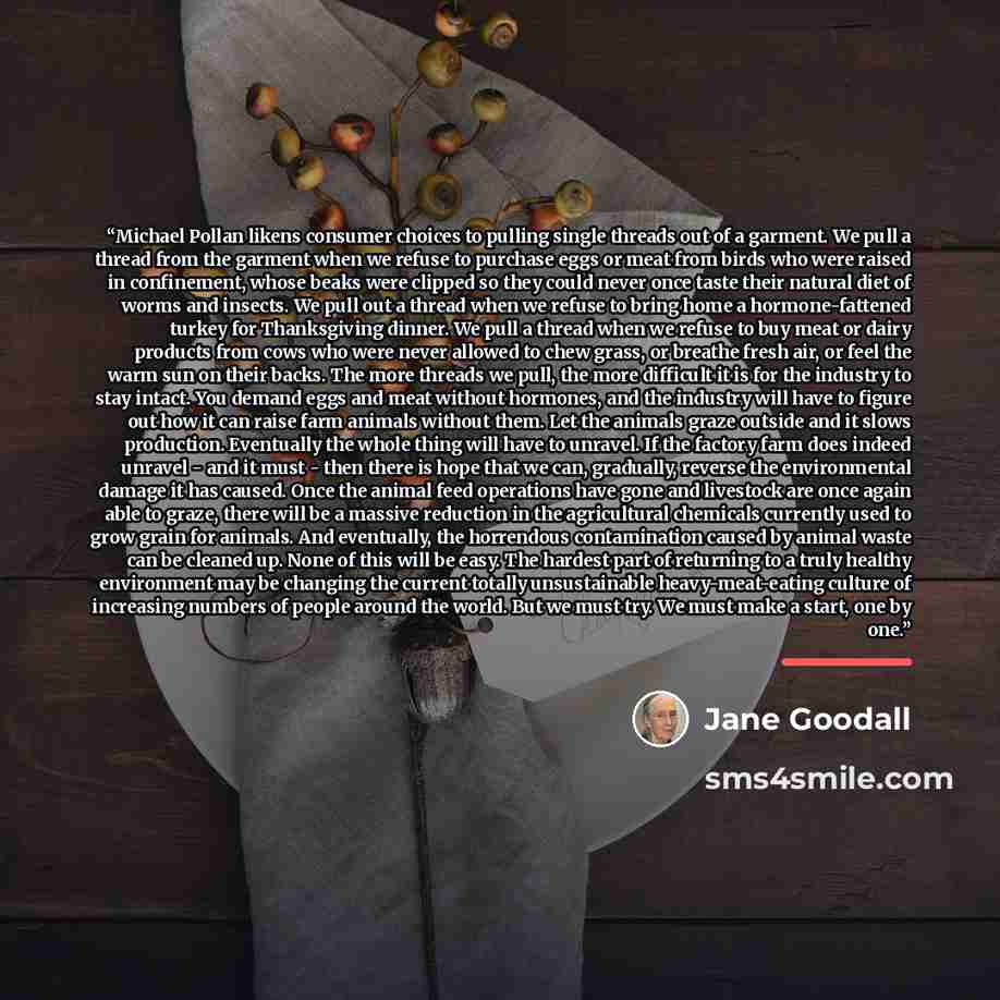 “Michael Pollan likens consumer choices to pulling single threads out of a garment. We pull a thread from the garment when we refuse to purchase eggs or meat from birds who were raised in confinement, whose beaks were clipped so they could never once taste their natural diet of worms and insects…” quote by Jane Goodall