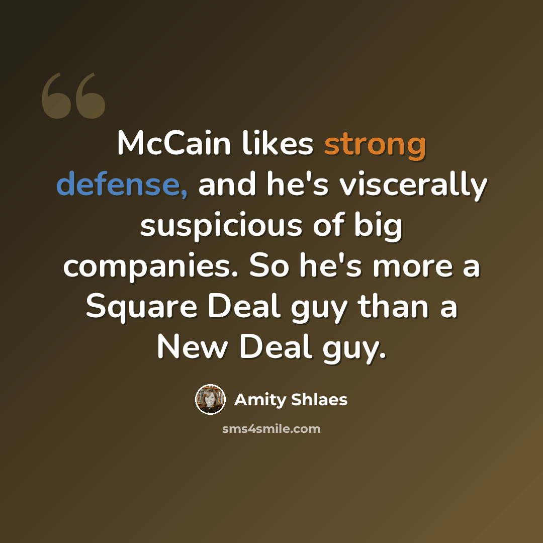 “McCain likes strong defense, and he's viscerally suspicious of big companies. So he's more a Square Deal guy than a New Deal guy.” quote by Amity Shlaes