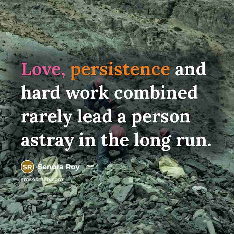 “Love, persistence and hard work combined rarely lead a person astray in the long run.” quote by Senora Roy