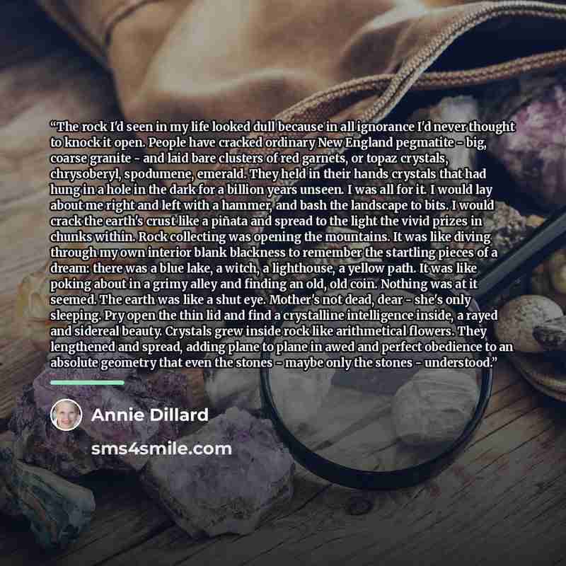 “The rock I'd seen in my life looked dull because in all ignorance I'd never thought to knock it open. People have cracked ordinary New England pegmatite - big, coarse granite - and laid bare clusters of red garnets, or topaz crystals, chrysoberyl, spodumene, emerald. They held in their hands…” quote by Annie Dillard