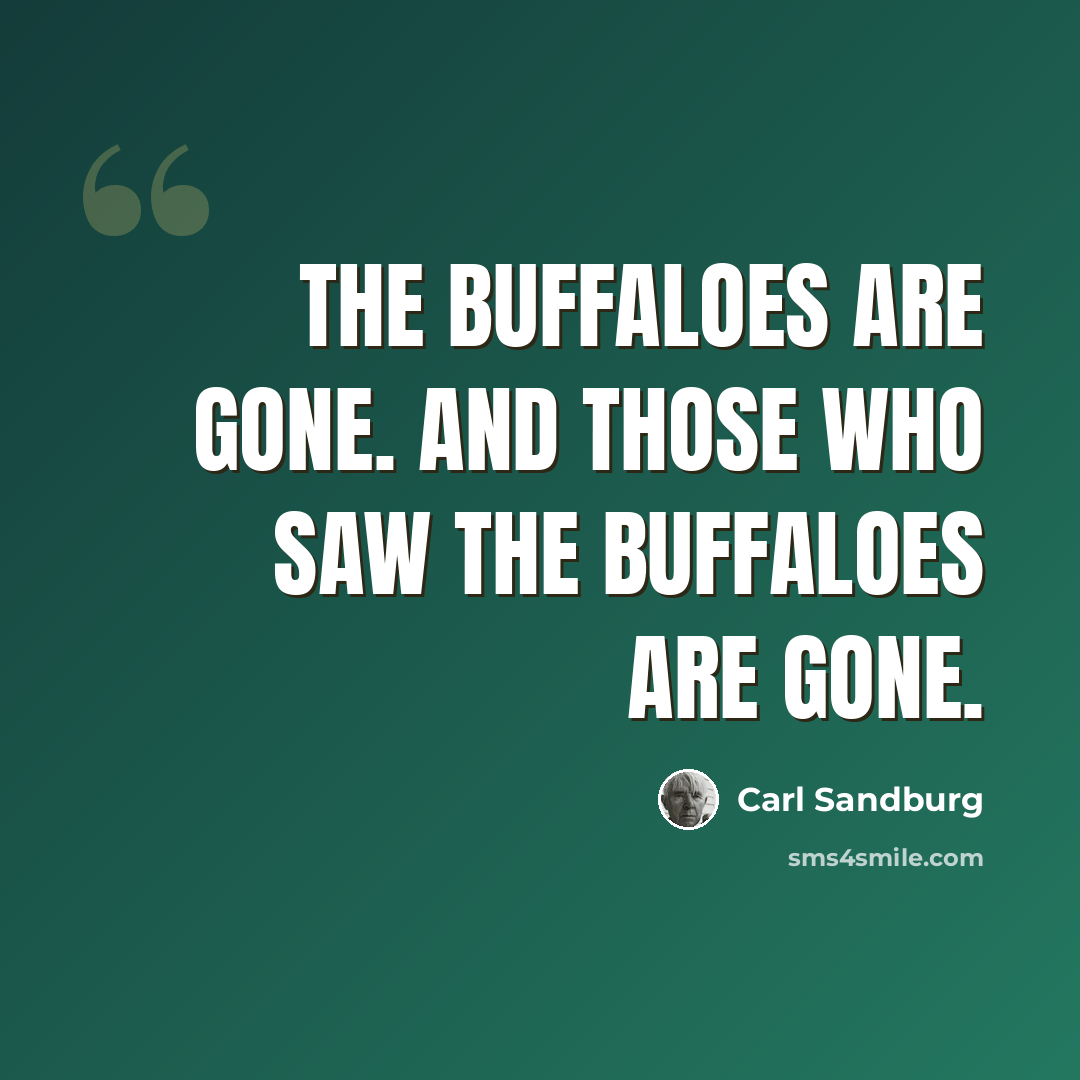 “The buffaloes are gone. And those who saw the buffaloes are gone.” quote by Carl Sandburg
