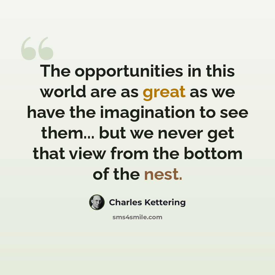 “The opportunities in this world are as great as we have the imagination to see them... but we never get that view from the bottom of the nest.” quote by Charles Kettering