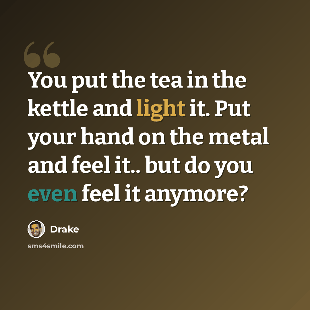 “You put the tea in the kettle and light it. Put your hand on the metal and feel it.. but do you even feel it anymore?” quote by Drake