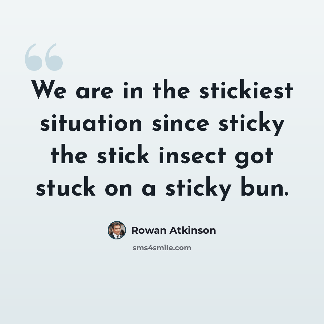 “We are in the stickiest situation since sticky the stick insect got stuck on a sticky bun.” quote by Rowan Atkinson
