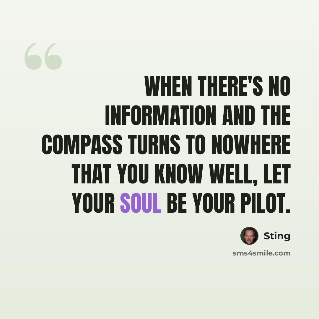 “When there's no information and the compass turns to nowhere that you know well, let your soul be your pilot.” quote by Sting