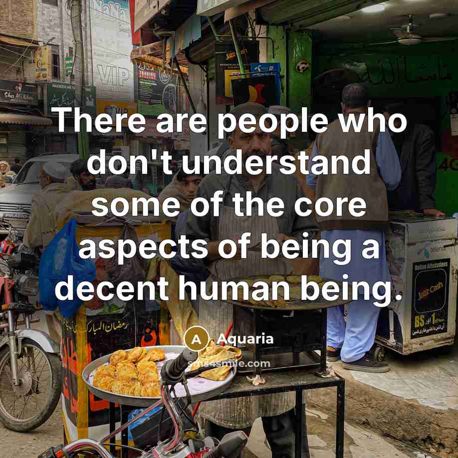 “There are people who don't understand some of the core aspects of being a decent human being.” quote by Aquaria