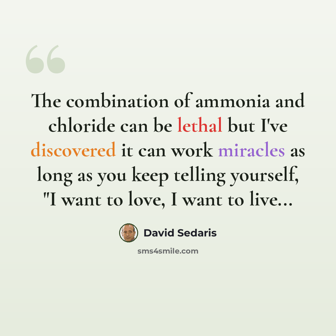 “The combination of ammonia and chloride can be lethal but I've discovered it can work miracles as long as you keep telling yourself, "I want to love, I want to live...” quote by David Sedaris