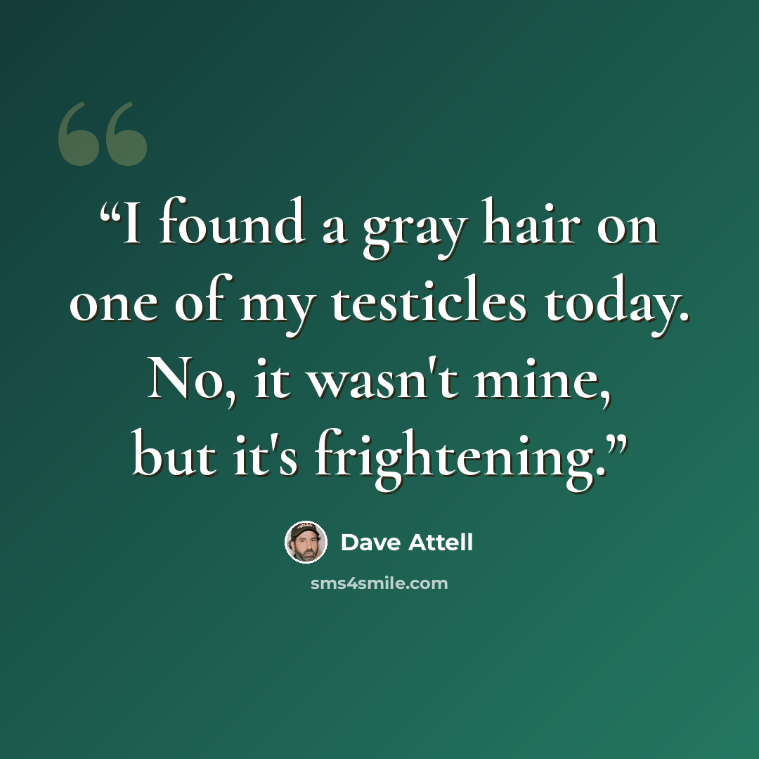 “I found a gray hair on one of my testicles today. No, it wasn't mine, but it's frightening.” quote by Dave Attell