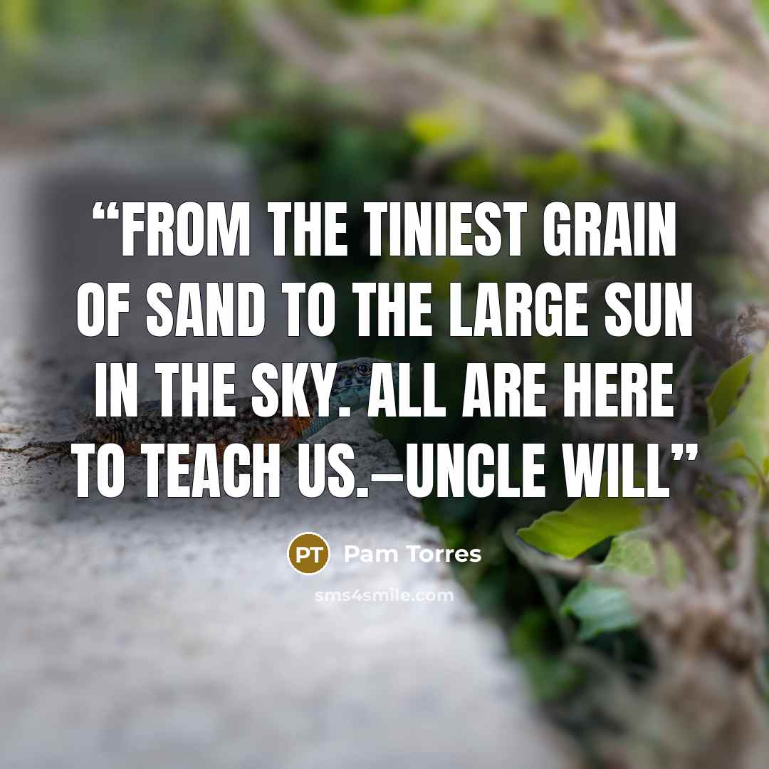 “From the tiniest grain of sand to the large sun in the sky. All are here to teach us.—Uncle Will” quote by Pam Torres