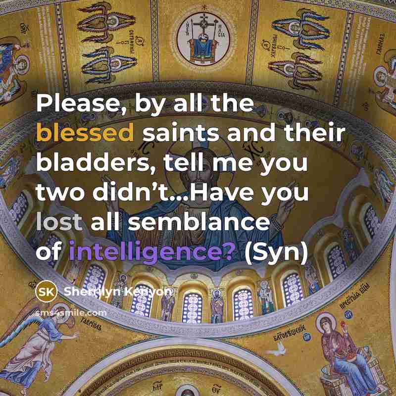 “Please, by all the blessed saints and their bladders, tell me you two didn’t…Have you lost all semblance of intelligence? (Syn)” quote by Sherrilyn Kenyon