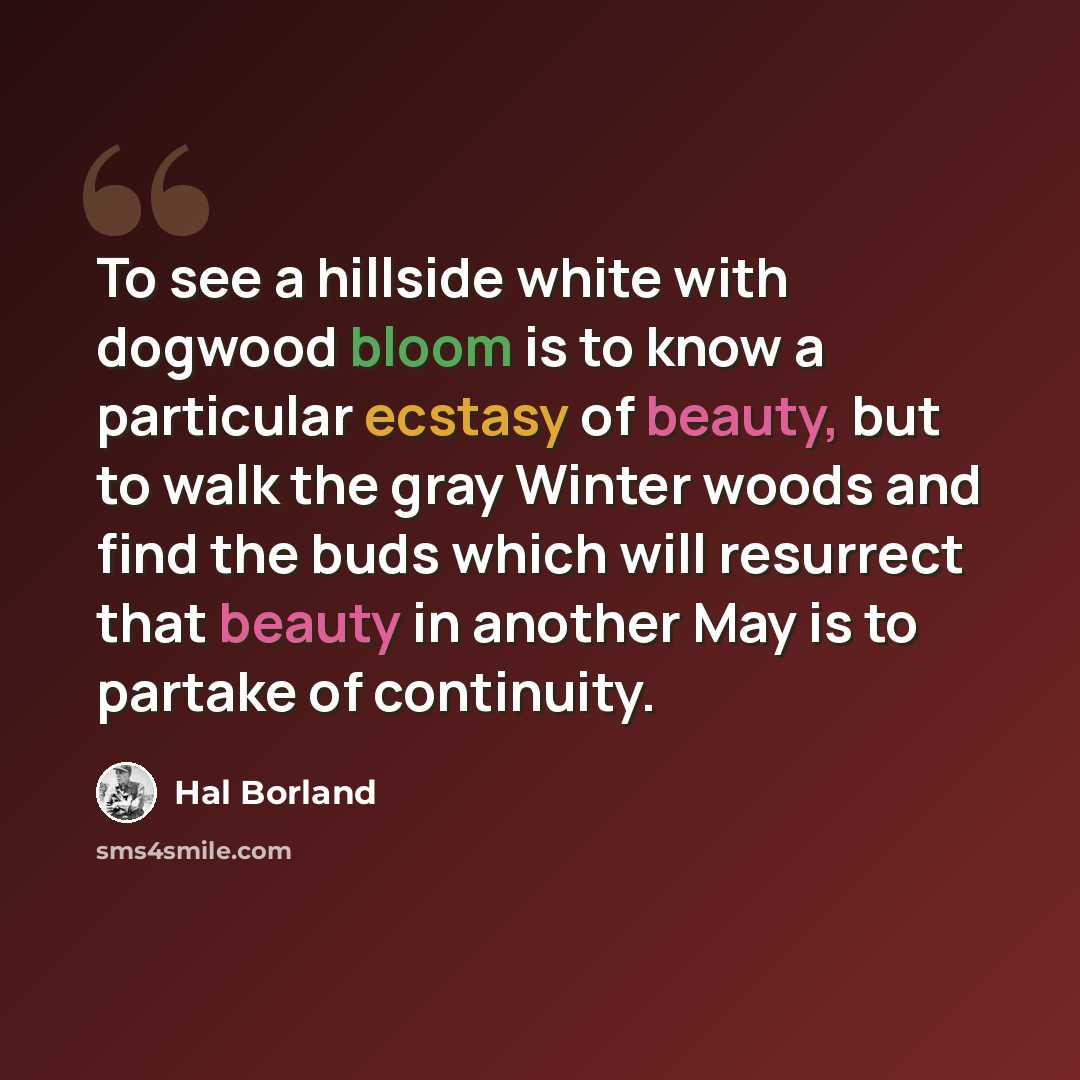 “To see a hillside white with dogwood bloom is to know a particular ecstasy of beauty, but to walk the gray Winter woods and find the buds which will resurrect that beauty in another May is to partake of continuity.” quote by Hal Borland