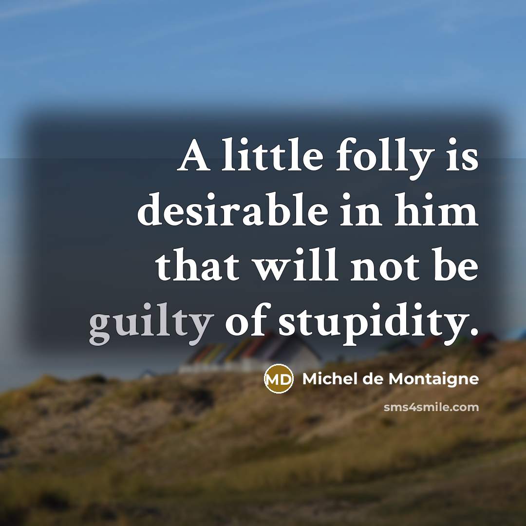 “A little folly is desirable in him that will not be guilty of stupidity.” quote by Michel de Montaigne