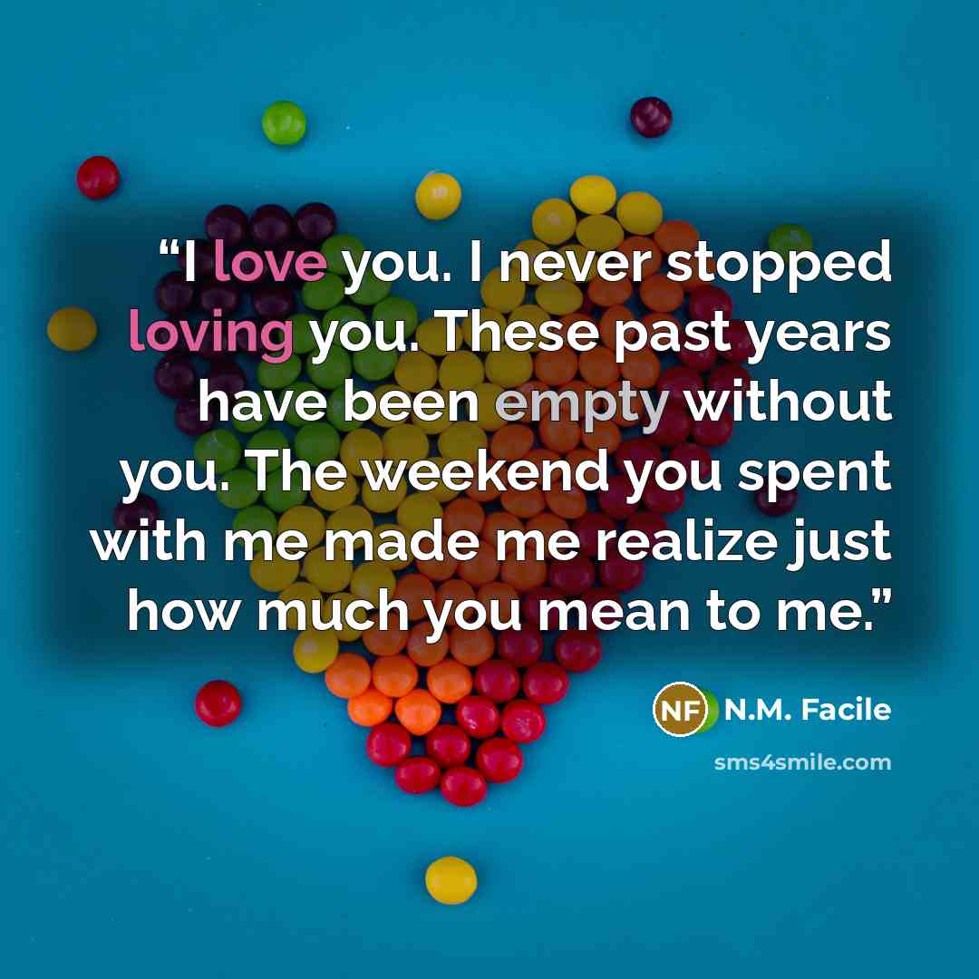 “I love you. I never stopped loving you. These past years have been empty without you. The weekend you spent with me made me realize just how much you mean to me.” quote by N.M. Facile