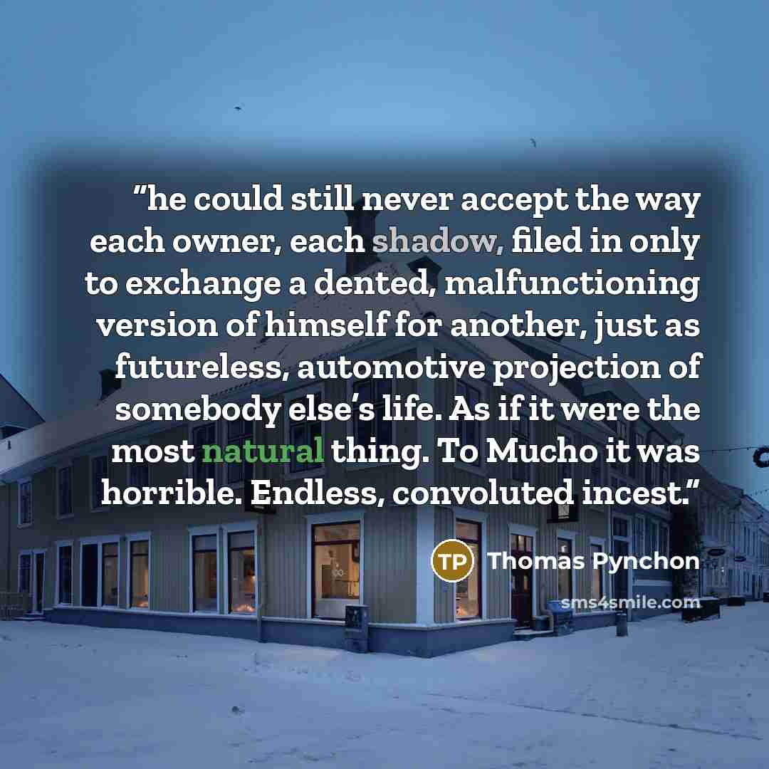 “he could still never accept the way each owner, each shadow, filed in only to exchange a dented, malfunctioning version of himself for another, just as futureless, automotive projection of somebody else’s life. As if it were the most natural thing. To Mucho it was horrible. Endless, convoluted…” quote by Thomas Pynchon