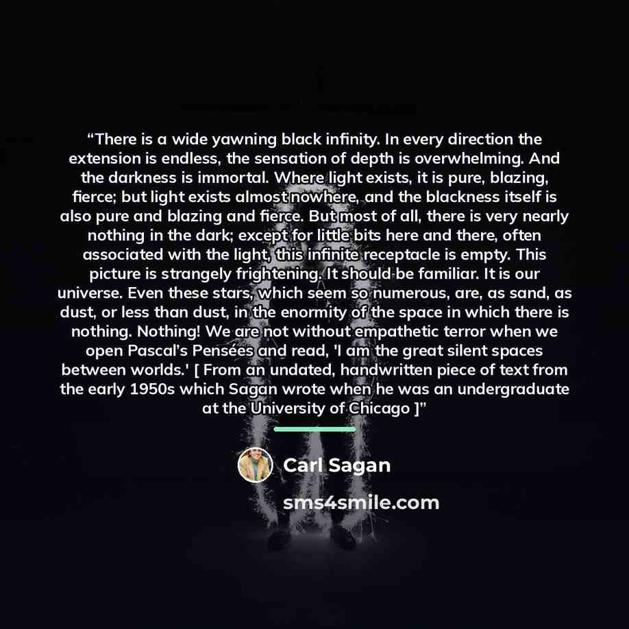 “There is a wide yawning black infinity. In every direction the extension is endless, the sensation of depth is overwhelming. And the darkness is immortal. Where light exists, it is pure, blazing, fierce; but light exists almost nowhere, and the blackness itself is also pure and blazing and fierce…” quote by Carl Sagan
