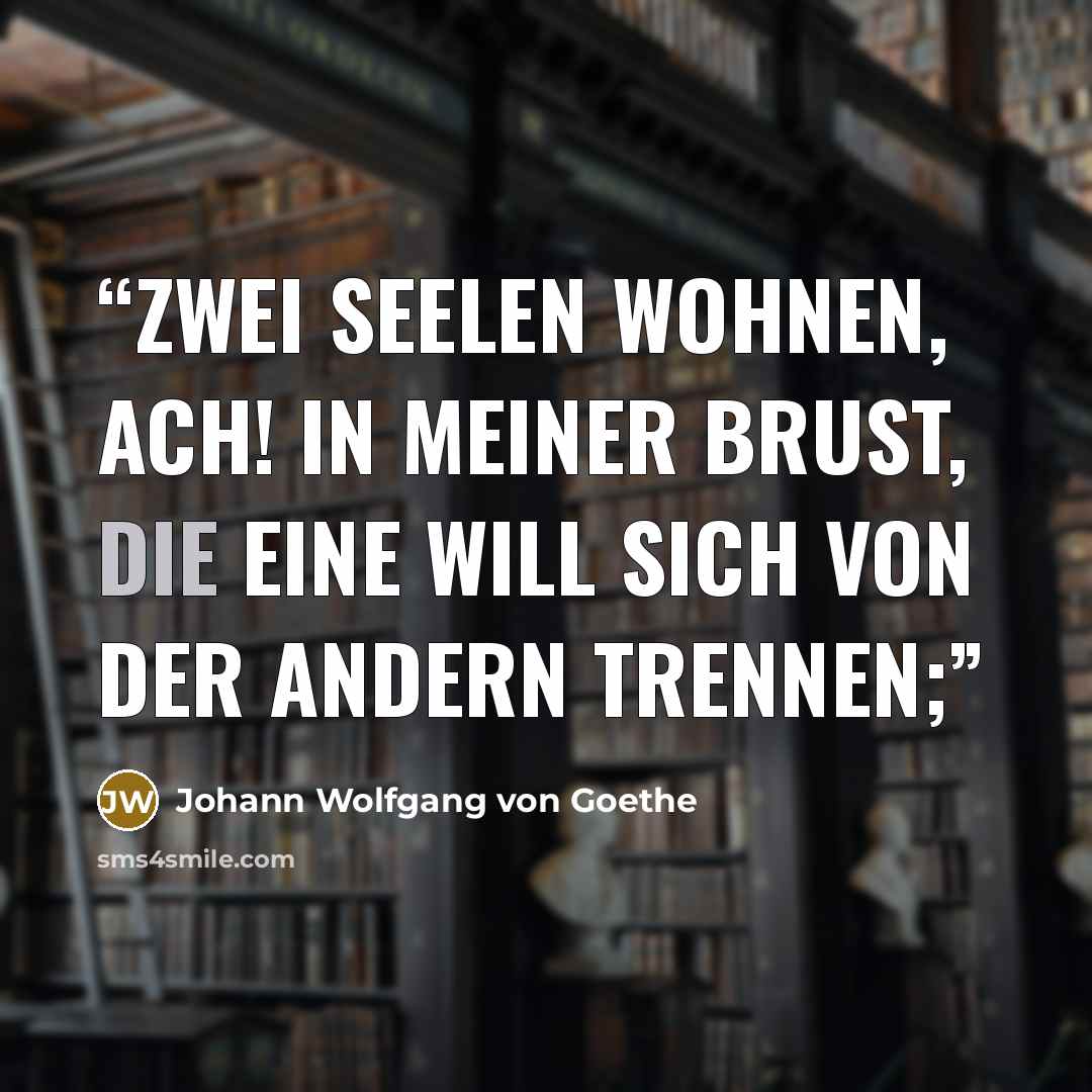 “Zwei Seelen wohnen, ach! in meiner Brust, Die eine will sich von der andern trennen;” quote by Johann Wolfgang von Goethe