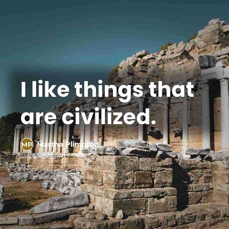 “I like things that are civilized.” quote by Martha Plimpton